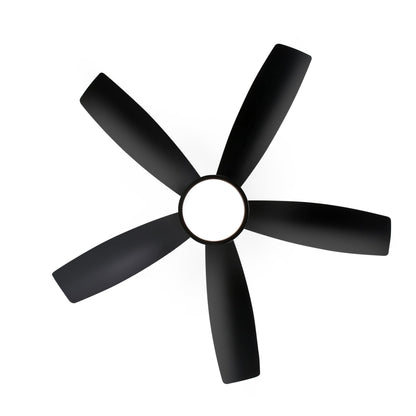 Ventilateur de plafond LED Breezary 65/52/42 à 5 pales avec kit d'éclairage et télécommande