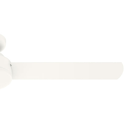 Pergola d'extérieur en acier de 10 pi x 13 pi, auvent de patio avec trous de drainage pour jardin, terrasse de piscine