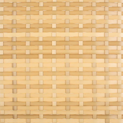 Lit de repos d'extérieur SAFAVIEH Taniyah en osier avec oreiller et coussins - 53 L x 28 P x 62 H