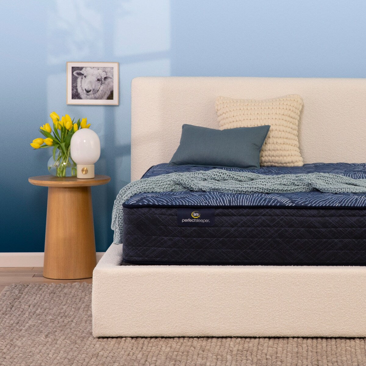 Matelas extra ferme Serta Perfect Sleeper Oasis Sleep 12